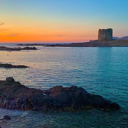 L' Elicriso, A Pochi Passi Dal Mare Con Giardino Privato - The Elicriso, A Few Meters From The Sea, With Private Garden Διαμέρισμα Stintino Εξωτερικό φωτογραφία
