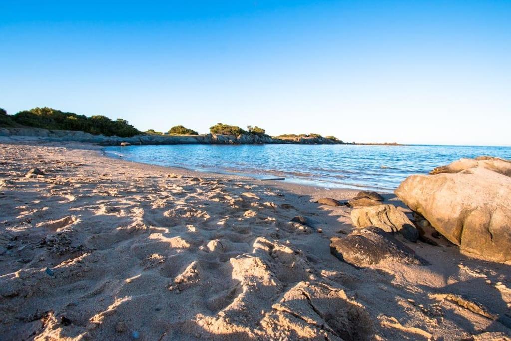 L' Elicriso, A Pochi Passi Dal Mare Con Giardino Privato - The Elicriso, A Few Meters From The Sea, With Private Garden Διαμέρισμα Stintino Εξωτερικό φωτογραφία
