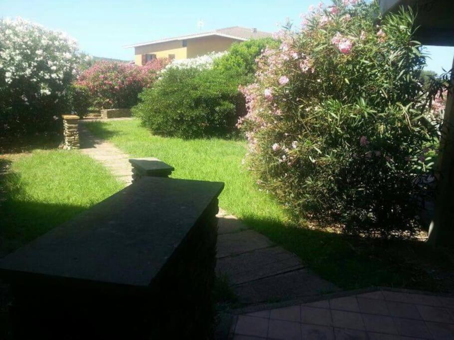 L' Elicriso, A Pochi Passi Dal Mare Con Giardino Privato - The Elicriso, A Few Meters From The Sea, With Private Garden Διαμέρισμα Stintino Εξωτερικό φωτογραφία