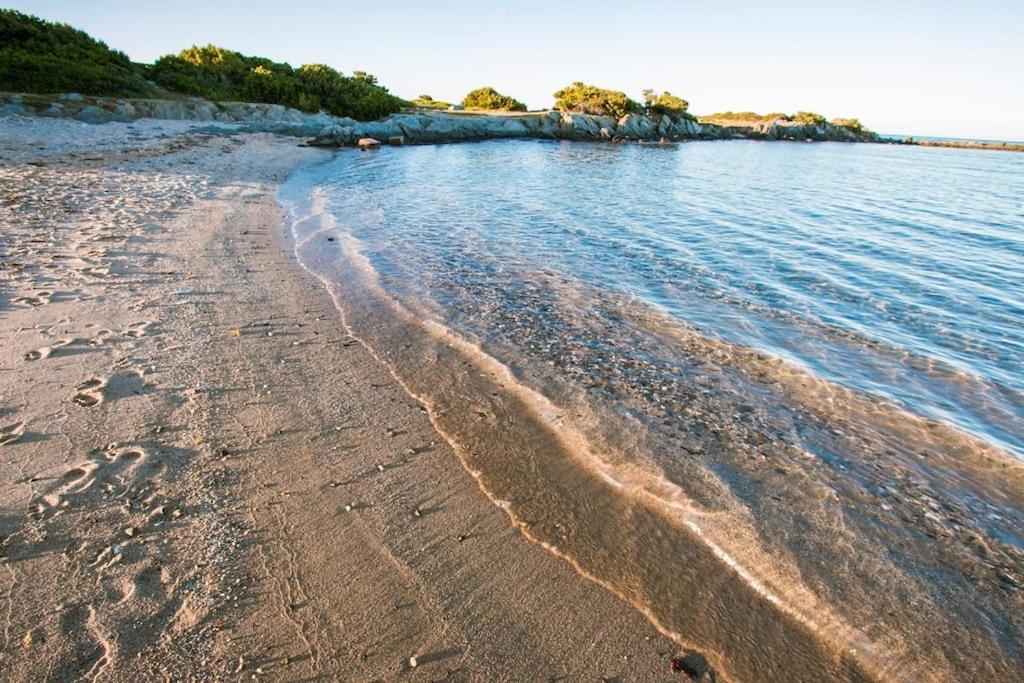 L' Elicriso, A Pochi Passi Dal Mare Con Giardino Privato - The Elicriso, A Few Meters From The Sea, With Private Garden Διαμέρισμα Stintino Εξωτερικό φωτογραφία