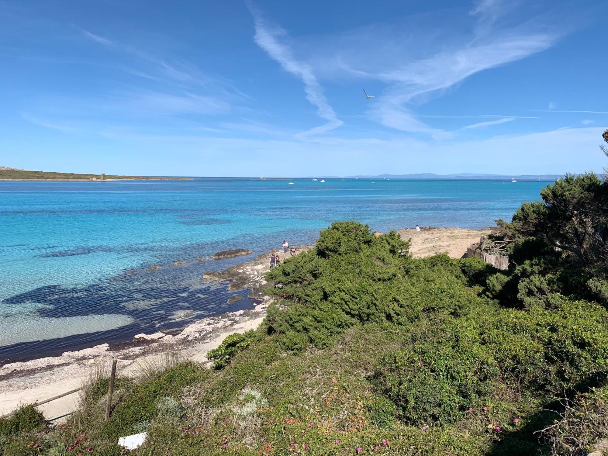 L' Elicriso, A Pochi Passi Dal Mare Con Giardino Privato - The Elicriso, A Few Meters From The Sea, With Private Garden Διαμέρισμα Stintino Εξωτερικό φωτογραφία