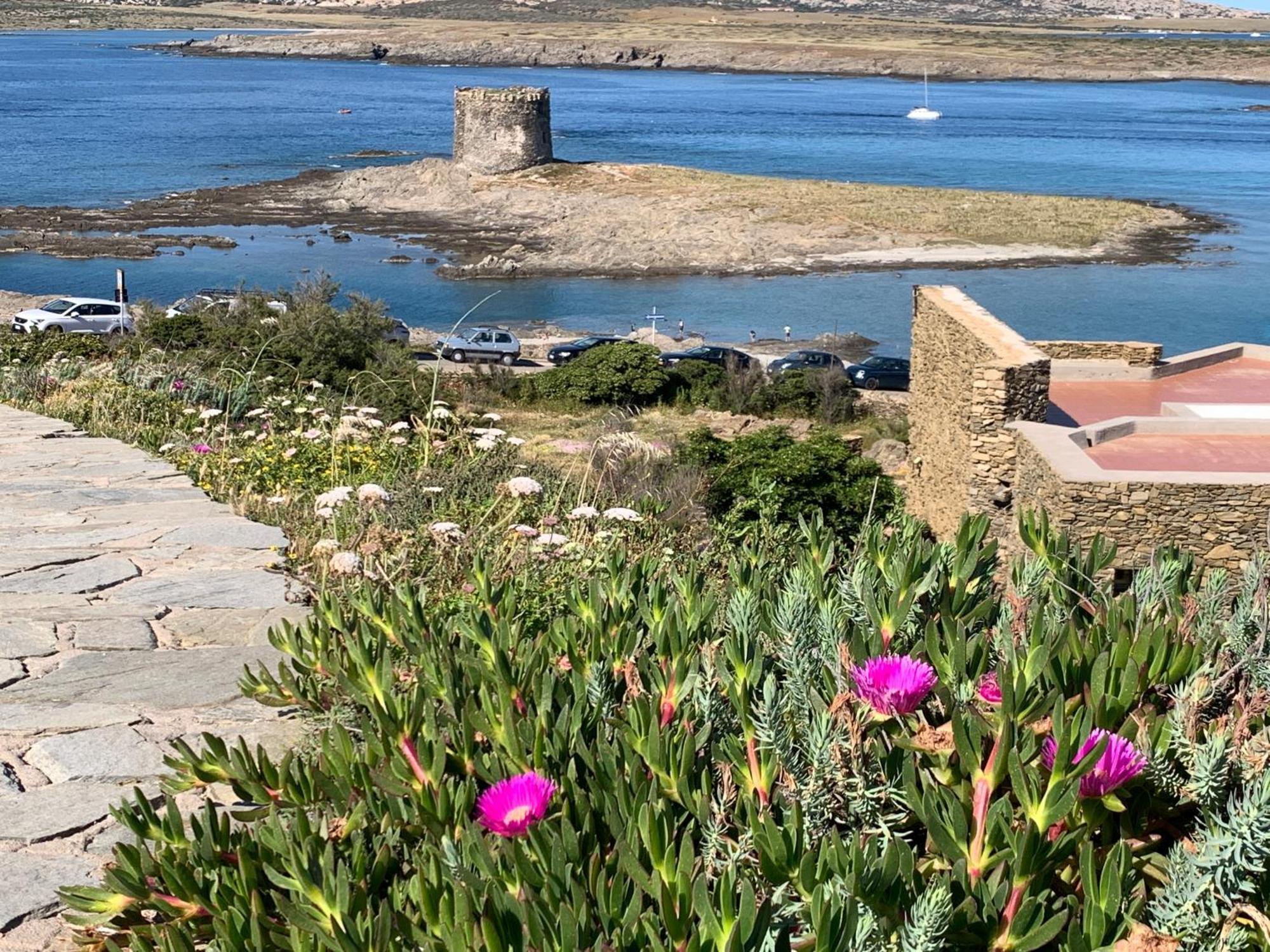 L' Elicriso, A Pochi Passi Dal Mare Con Giardino Privato - The Elicriso, A Few Meters From The Sea, With Private Garden Διαμέρισμα Stintino Εξωτερικό φωτογραφία
